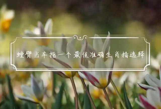 螳臂当车是什么生肖