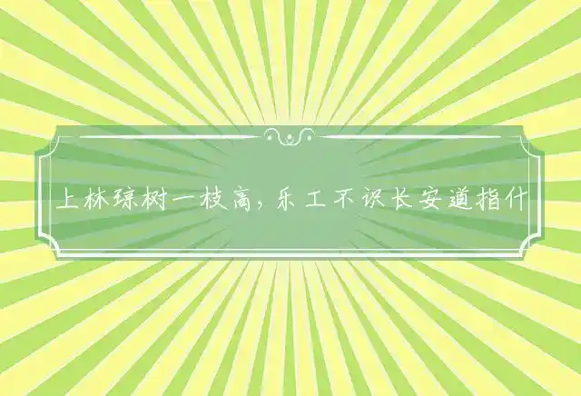 上林琼树一枝高,乐工不识长安道是什么生肖