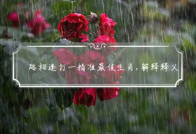 狹路相逢是什么生肖