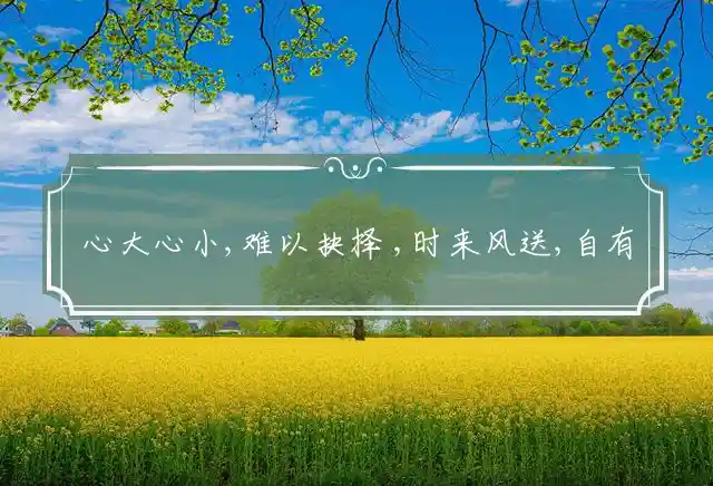 心大心小,难以抉择 ,时来风送,自有对策是什么生肖