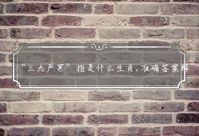 三九严寒是什么生肖